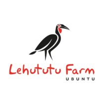 Lehututu Wildlife Experience